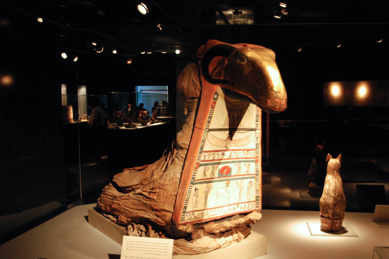 A mummified ram