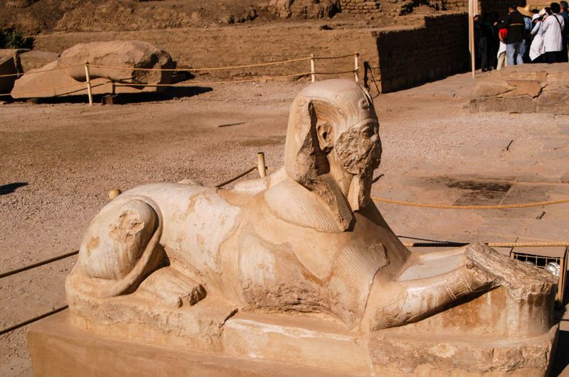 A remarkably feline-loking human-headed sphinx