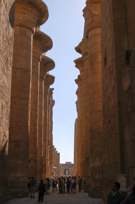 Imagine these columns with a roof -- like a forest