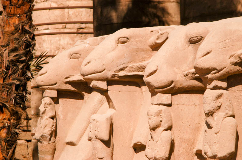 Line of ram-headed sphinxes