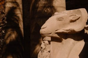 One of many rams-headed sphinxes
