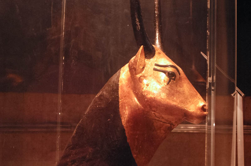 A gold-covered bull's head