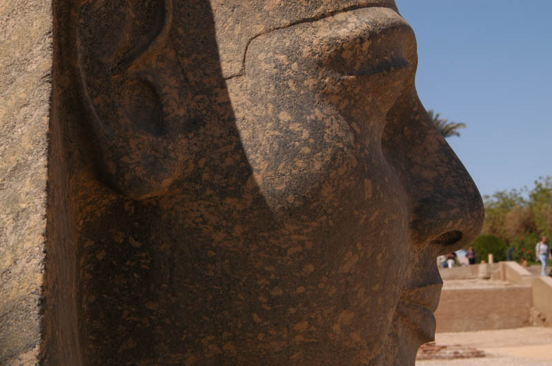 Head of an enormous seated statue of Ramesses, of course