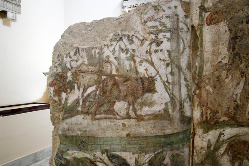 part of a fresco of a bull pulling a waterwheel