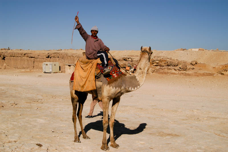 One of the many, many camel drivers at the pyramids
