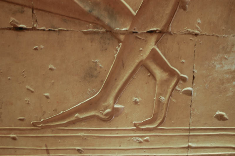 From the hunting scene in the temple of Seti I