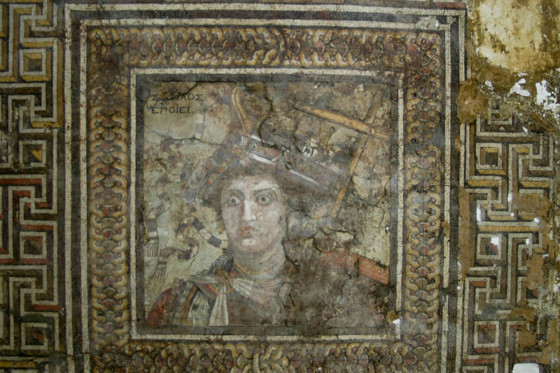 detailed mosaic, probably a floor piece of Alexander