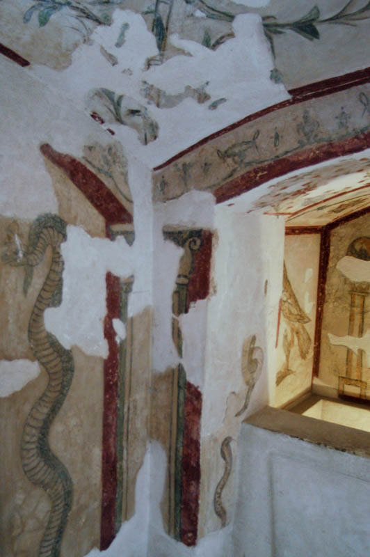 images of snakes and twining vines in the crypt