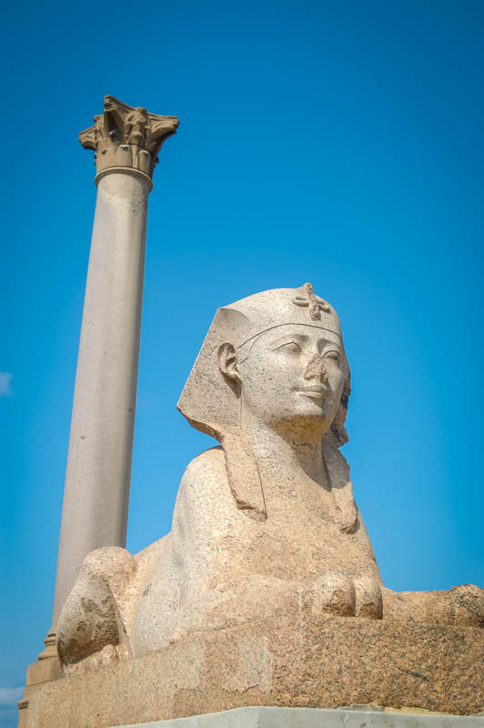 A sphinx and Pompeii's Pillar, Alexandria
