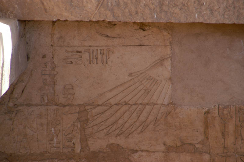 a partial vulture wing in the tomb