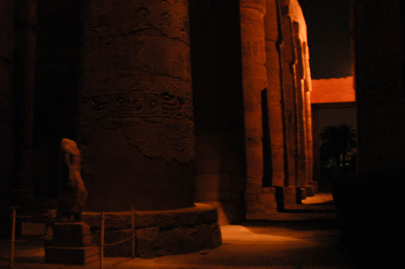 The dark forest of the hypostyle hall