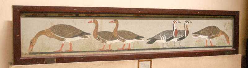 The famous maidum geese, from the pyramid temple