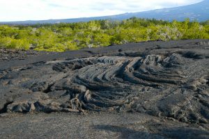 Ropey pahoehoe lava