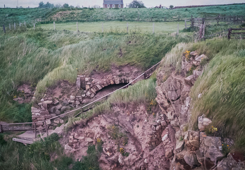 the vaulted cellars cut into the cliff