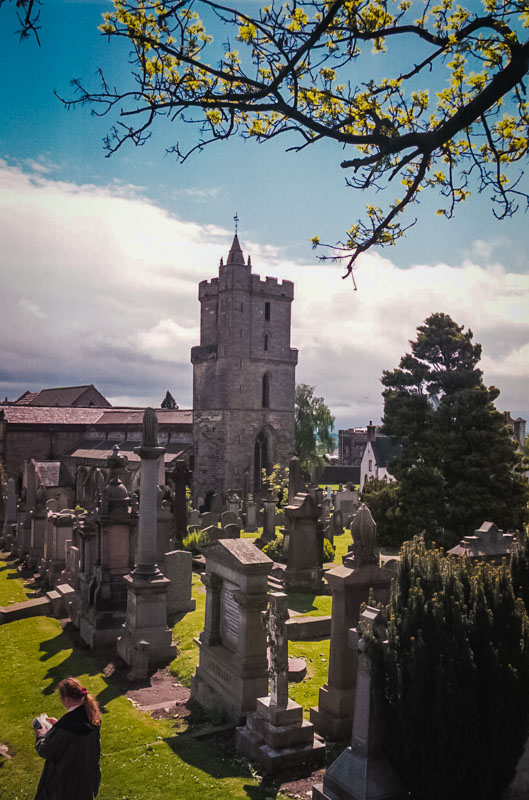 Stirling Cemetary, from Ladies' View